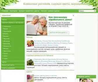 Klumba-Plus.ru(Срок) Screenshot