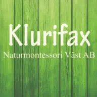 Klurifax.se Logo