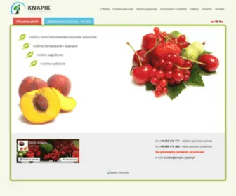 Knapik.opole.pl(Szkółki) Screenshot