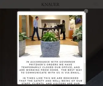 Knauerinc.com(Knauer Incorporated) Screenshot