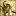 Knights.pl Favicon