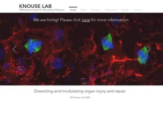 Knouselab.org(Knouse Lab) Screenshot