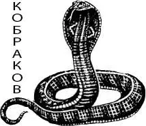 Kobrakov.com Logo