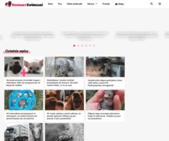 Kochamyzwierzaki.pl(Kochamy Zwierzaki) Screenshot