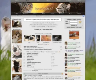 Kocici.net(Váš) Screenshot