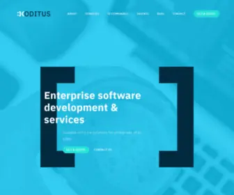 Koditus.lt(Homepage) Screenshot