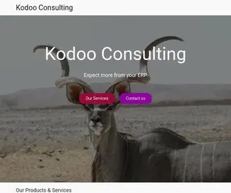 Kodoo.co.uk(Kodoo Consulting) Screenshot