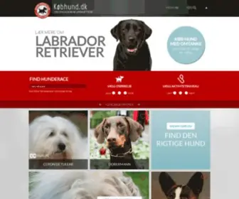 Koebhund.dk(Find din nye hund på købhund.dk) Screenshot