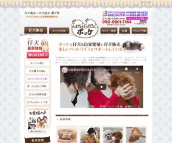 Koinu-Hanbai.com(名古屋でペットコンシェルジュhitomiが在籍する子犬販売) Screenshot