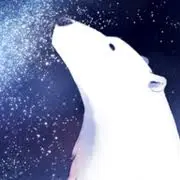 Koisurushirokuma.jp Favicon