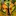 Kola.gallery Favicon