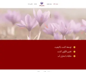 Kolale-Saffron.com(زعفران کلاله) Screenshot