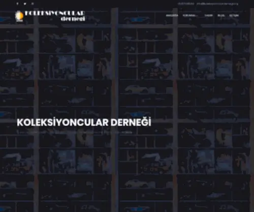 Koleksiyonculardernegi.org(Koleksiyoncular Derne) Screenshot