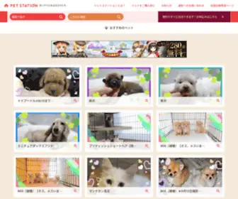 Konekoneko.jp(全国のペットショップやブリーダーなどが登録した子犬や子猫など) Screenshot