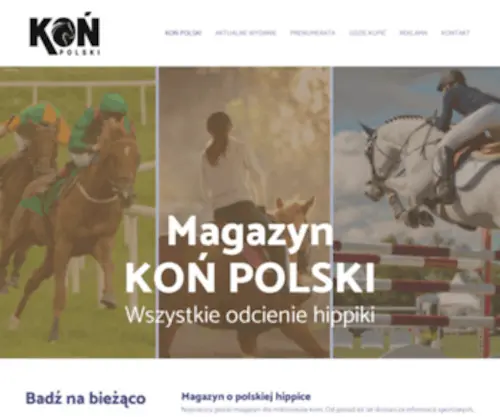 Konpolski.pl(Konpolski) Screenshot