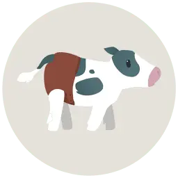 Koogko.dk Favicon