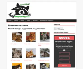 Kooplyshkin.ru(Домашние питомцы) Screenshot