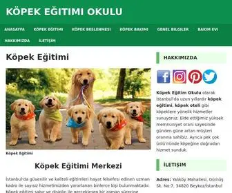 Kopekegitimiokulu.com(Köpek Eğitimi ve Köpek Oteli) Screenshot