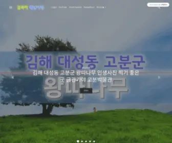 Koreabackpacking.com(코리아배낭여행) Screenshot