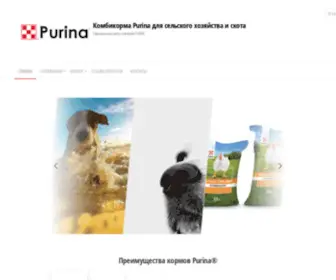 Korm163.ru(Комбикорма Purina для сельского хозяйства и скота) Screenshot