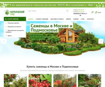 Korolevskysad.ru(Наш интернет) Screenshot