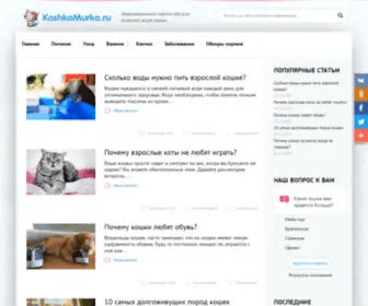 Koshkamurka.ru(КошкаМурка) Screenshot