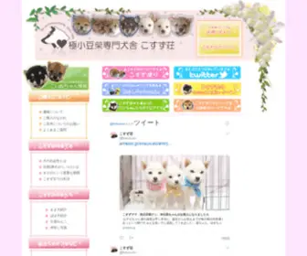 Kosuzu.com(極小豆柴) Screenshot