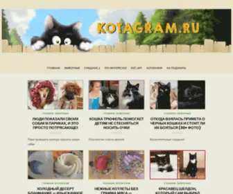 Kotagram.ru(Kotagram) Screenshot