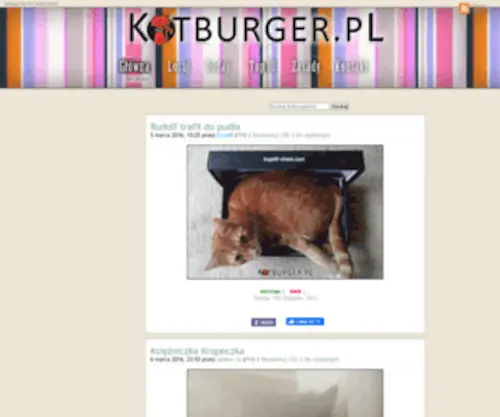 Kotburger.pl(Kot) Screenshot