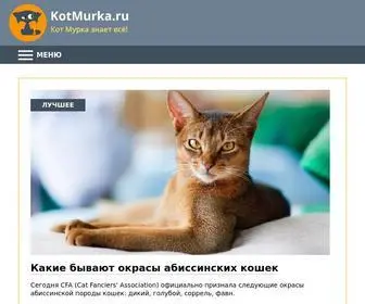 Kotmurka.ru(Блог) Screenshot