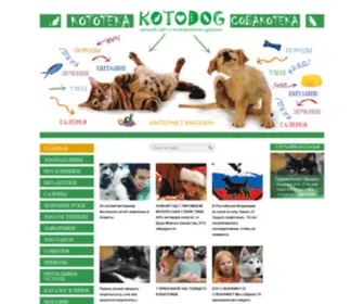 Kotodog.kz(Лучший сайт о кошках и собаках) Screenshot