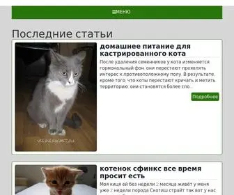 Kotomur.ru(Мир) Screenshot