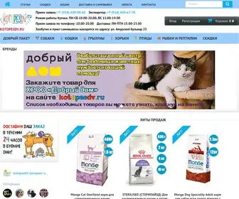 Kotopesdv.ru(Интернет) Screenshot