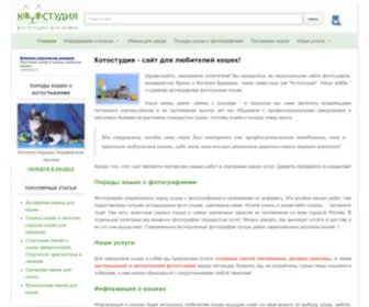 Kotostudio.ru(Информация о кошках) Screenshot
