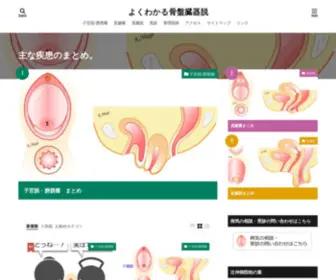 Kotubanteigeka.com(子宮脱・膀胱瘤・直腸瘤・直腸脱など、骨盤臓器脱) Screenshot