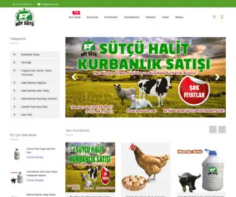 Koysutu.net(Günlük) Screenshot