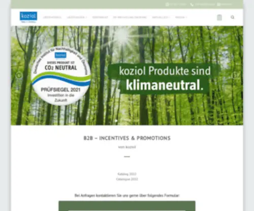 Koziol-Incentives.de(Koziol Incentives Catalogue) Screenshot