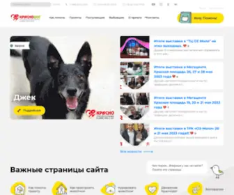 Krasnodog.ru(Приют для животных в Краснодаре) Screenshot