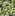 Kriegsspiele.online Favicon