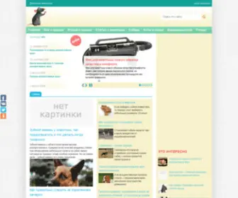 Krisa.org.ua(крысы) Screenshot