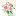 Kriskipp.com Favicon