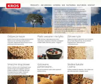 Kros.com.pl(KROS Sp) Screenshot