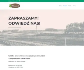 Krzewyozdobne-Walczak.pl(Krzewy Ozdobne Walczak) Screenshot
