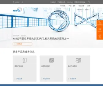 KSB.com.cn(KSB中国) Screenshot