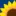 KSBN.com Favicon