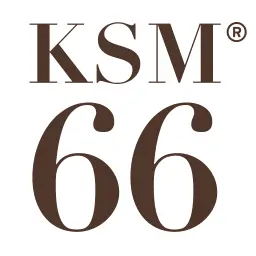 KSM-66.se Favicon