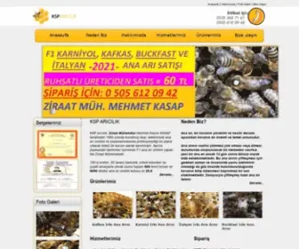 Ksparicilik.com(Ana Arı) Screenshot