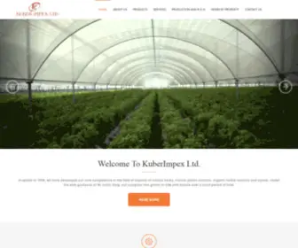 Kuberimpex.com(Kuber Impex Ltd) Screenshot
