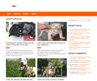 Kuluckada.com(Wild Animal and Dog Videos) Screenshot