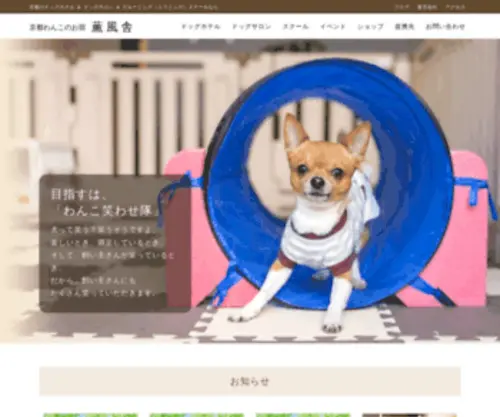 Kumpoosha.com(京都わんこのお宿 薫風舎) Screenshot